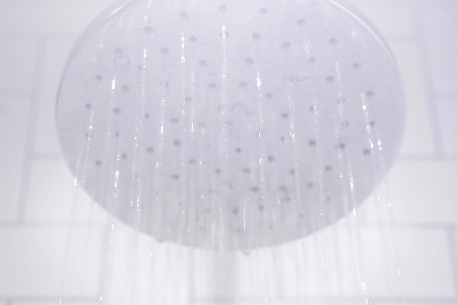 water softener shower head