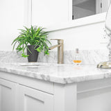 Ariana 7" Single Hole Bathroom Sink Faucet with Swivel Spout