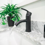 Waverly 7" Single Hole Bathroom Faucet