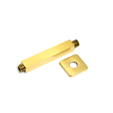 Wasser 6" Ceiling Mounted Shower Arm with Flange