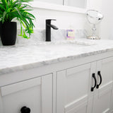 Ariana 7" Single Hole Bathroom Sink Faucet with Swivel Spout