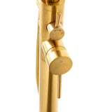 SevenFalls 8017 Single Handle Floor Mounted Tub Filler with Handheld Shower