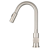 Morgana Single Handle Pull Down Standard Kitchen Faucet