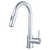 Morgana Single Handle Pull Down Standard Kitchen Faucet