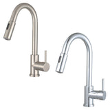 Morgana Single Handle Pull Down Standard Kitchen Faucet