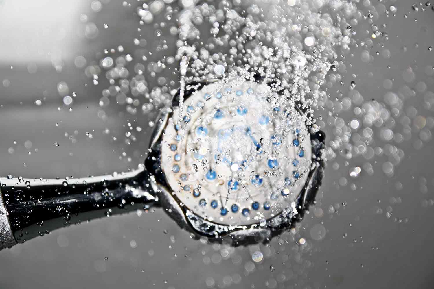 shower head