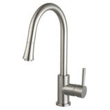 Mira Single Handle Pull Down Standard Kitchen Faucet