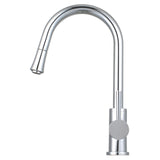 Mira Single Handle Pull Down Standard Kitchen Faucet